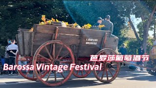 Barossa Vintage Festival Parade - South Australia 芭罗莎葡萄酒节游行 （2023）