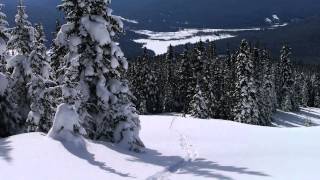 Mount Greenberry Edelweiss