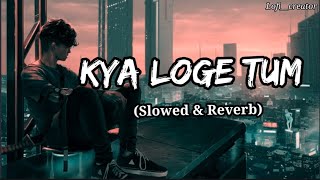 Meri jindgi se jane ka kya loge tum🫵 lofi song slowed&Reverb//B praak ,jaani 🫵🙏🥀🥺💔