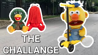 DHMIS PLUSH: The Challenge