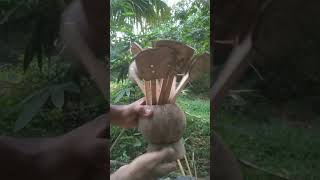 coconutshell spoon 🙂🙂👍#shorts #youtubeshorts #shortsfeed #craft #diy