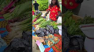 Refugee Farmers in Houston