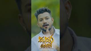 Sasara Gamane (සසර ගමනේ) Denuwan Kaushaka | Music Video | Official Tiktok Trailer