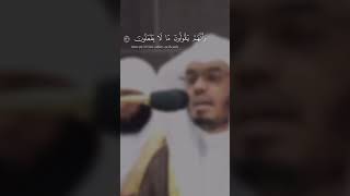 ياسر الدوسري تلاوة مباركة لخواتيم سورة الشعراء | هل أنبئكم على من تنزّل الشياطين تنزّل على كل أفاك……