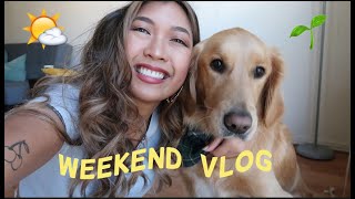 Weekend Vlog | Echo Park, Silver Lake, Thrifting & Tattoo