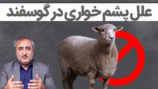 علل پشم خواری در گوسفند