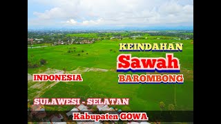 Keindahan Sawah Sekitaran Barombong Kabupaten Gowa Drone View