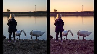 Balans Kolorów w Photohopie - Wszystko co musisz widzieć