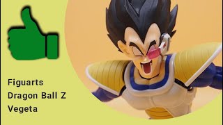 Figuarts Dragon ball Z Vegeta 24000 Power Level Figure Review