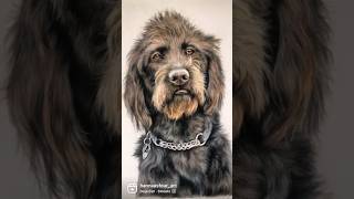 Let’s draw a German Wirehaired Pointer🐶 #art #drawing #artwork  #shorts #viralshorts #trending