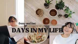 DAYS IN MY LIFE | grocery haul, the easiest homemade wontons, a busy and fun weekend!