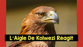 L’AIGLE DE KOLWEZI RÉAGIT