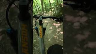 Weavin' through the woods #downhill #mtb