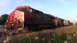 July 31, 2022 ~ CN Dundas Sub around Princeton and Paris, Ontario