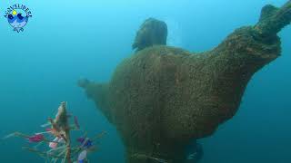 Immersione al Cristo Silente di Porto San Nicolò a Riva del Garda | Diving in Riva del Garda