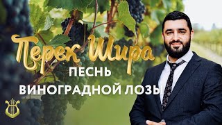 🍇Перек Шира: Песнь Виноградной лозы (Рав Исраэль Якобов) Цикл: Песнь Творения. #24