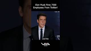 Elon Musk Fires 7500 Employees From Twitter!