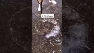 استخراج كنز