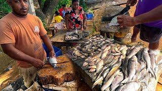 Nice! Day In Life of Village Fisherman Biggest Street Tilapia Fish Cutting Skills