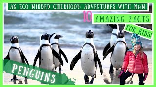 10 Amazing Facts About Penguins For Kids! | Nature Show For Kids