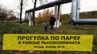 Прогулка по парку в районе льнокомбината (Орша, осень 2019)