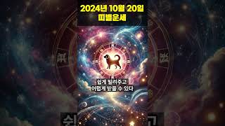 2024년 10월 20일 개띠, 돼지띠 오늘의운세 !!  #오늘의운세 #띠별운세 #운세 #개띠운세 #돼지띠운세  #shorts