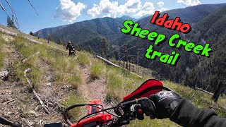 Idaho Sheep Creek singletrack trail