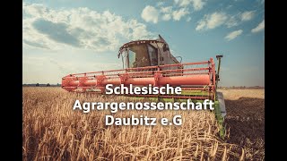 Schlesische Agrargenossenschaft Daubitz e.G.