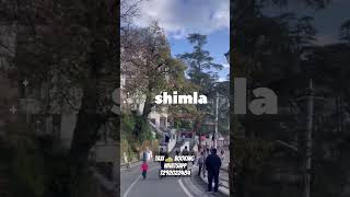 Aabhi time hai ghum aao #shimla #shimlalive #shimlatour