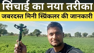 शानदार जबरदस्त मिनी स्प्रिंकलर इरीगेशन 🔥 🔥 mini sprinkler । mini sprinkler irrigation system