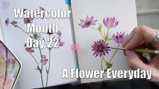 Day 22 Watercolor Month / A Flower Everyday / Astrantia