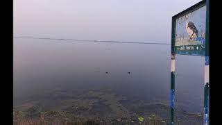 Vadhawana Lake, Birds' winter Paradise near Vadodara | Dr. Jignesh Mehta