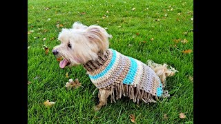 How to Crochet a Poncho for a Dog