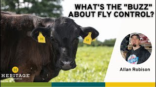 What's The "Buzz" About Fly Control?