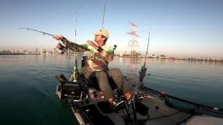 Hobie PA14 kayak fishing trolling - Barracuda