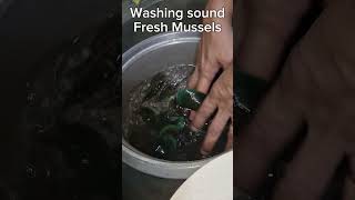 #washing #fresh #mussels