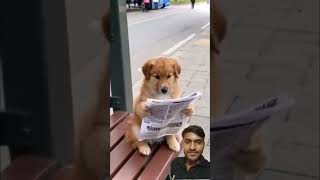 News paper 📰 red dog🐕 ~ #funny #dog #kitten #puppy #cartoon #cute #funnycats #catlover #cutecat #cat