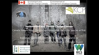 Year 2 Kootenay Connect: Northern Long-eared Myotis Habitat Project