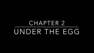 Chapter 2 Under the Egg