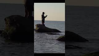 Spinning fisherman catches fish on the sea in the morning #shortsyoutube #ladybee