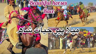 Sindh ky taiiz taren ghory |Mela Pir Hayat Shah Pachmai #horseriding #horse#thar #viralvideo