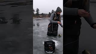 It’s the dance for me 😂 #icefishing #icefish #shorts #shortvideo #crappie #fishing