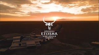 Etosha King Nehale - A Night With The King