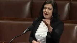 NYC Congresswoman Blasts Democrats for choosing shutdown over border security