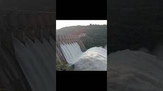 Srisailam Dam 7 Gates Opened today |AmazingView#rainvlogs#srisailamdam#viral#shorts#rain#shortsfeed