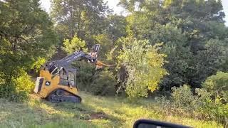 Clearing Underbrush for Grazing Land