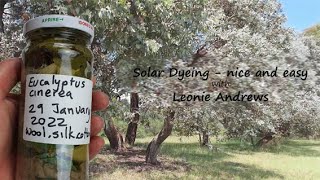 Solar Dyeing: Nice and Easy with Leonie Andrews