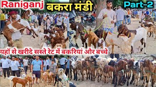 यहॉ से खरीदे सस्ते रेट में बकरियां और बच्चे |Raniganj Bakra Mandi 17/09/24 (Part-2) Live Update