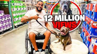 My Service Dog Went Viral On Instagram, So I Took Him To Costco...  (12 Million Views)