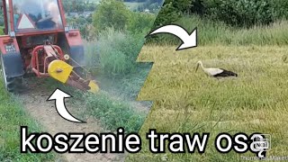 ✔Hit!!!✔sianokosy czyli koszenie traw🌱Władimirec t25 🚜✔oraz kosiarka osa☑